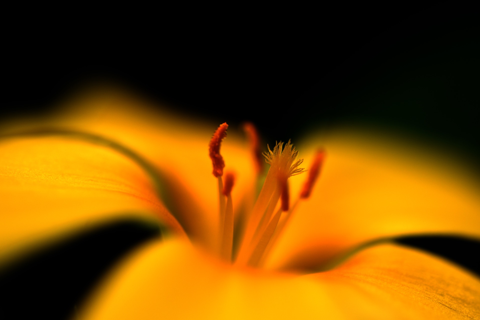 Distributing Multi-Module Android Libraries: Making Peace with the Bill of Materials (BoM)